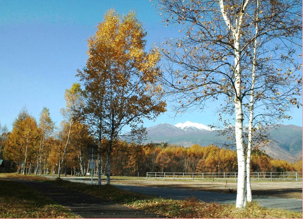 Alpine Inn Mizushiro Мацумото Екстериор снимка