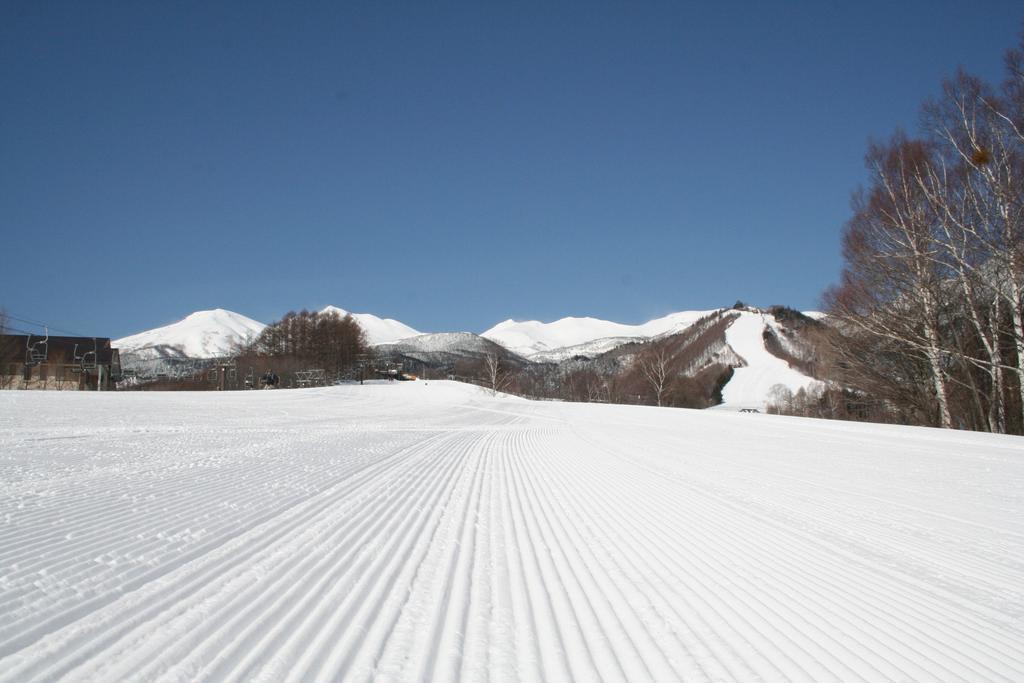 Alpine Inn Mizushiro Мацумото Екстериор снимка